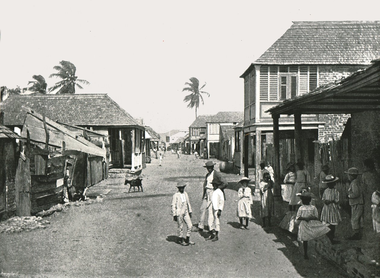 مشهد ستيت في بورت رويال ، جامايكا ، 1895. بواسطة يورك وابنه