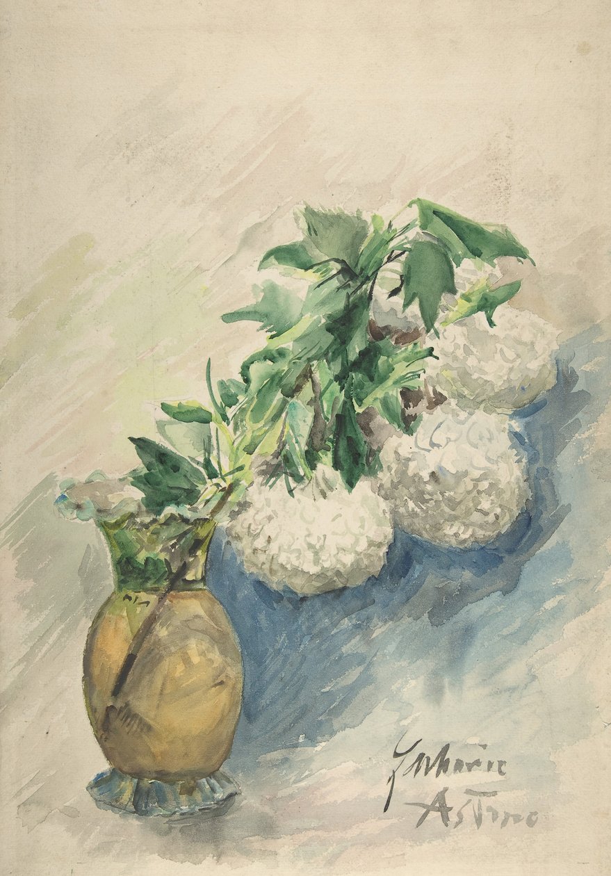 زهور بيضاء في إناء ، كاليفورنيا. 1884-1904. بواسطة زكريا أستروك