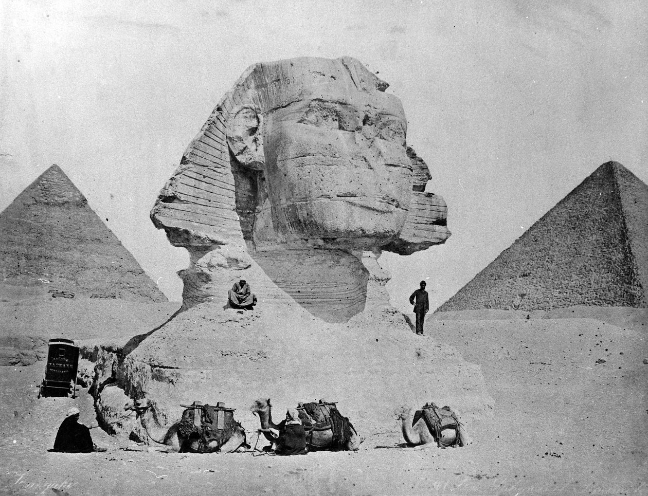 صورة شخصية لأبو الهول بالجيزة أواخر سبعينيات القرن التاسع عشر بواسطة Zangaki Brothers