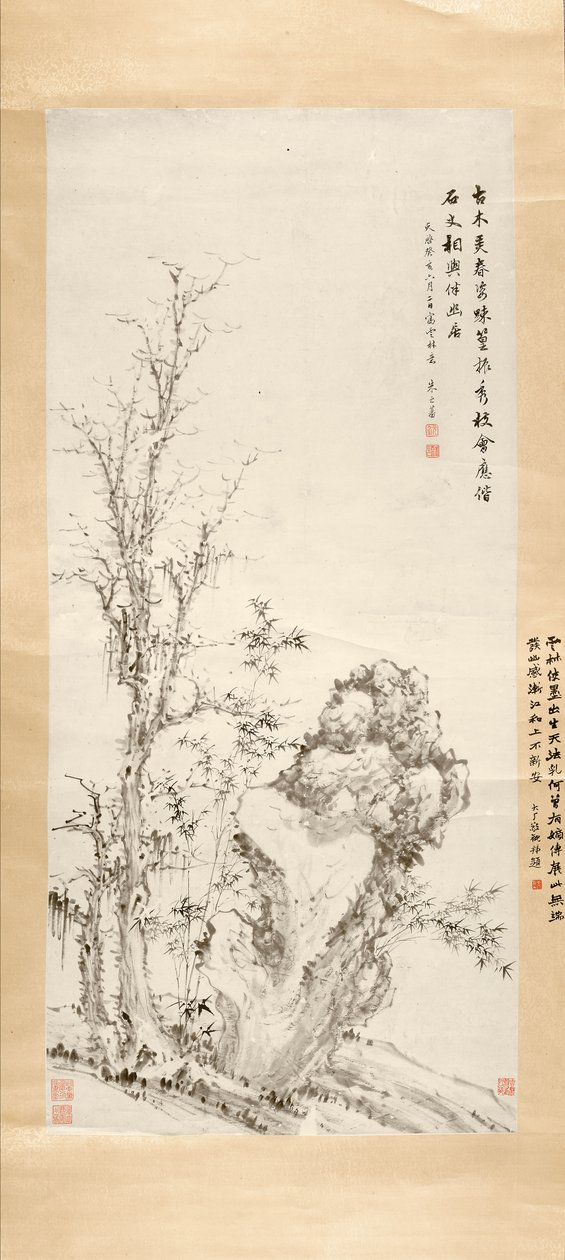صورة لأشجار قديمة وصخور وخيزران ، 1623 حبر على ورق بواسطة Zhifan Zhu