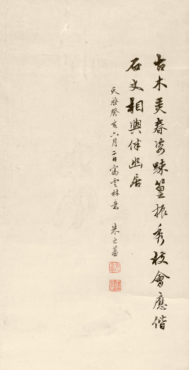 تفاصيل صورة لأشجار قديمة وصخور وخيزران ، 1623 (حبر على ورق) بواسطة Zhifan Zhu