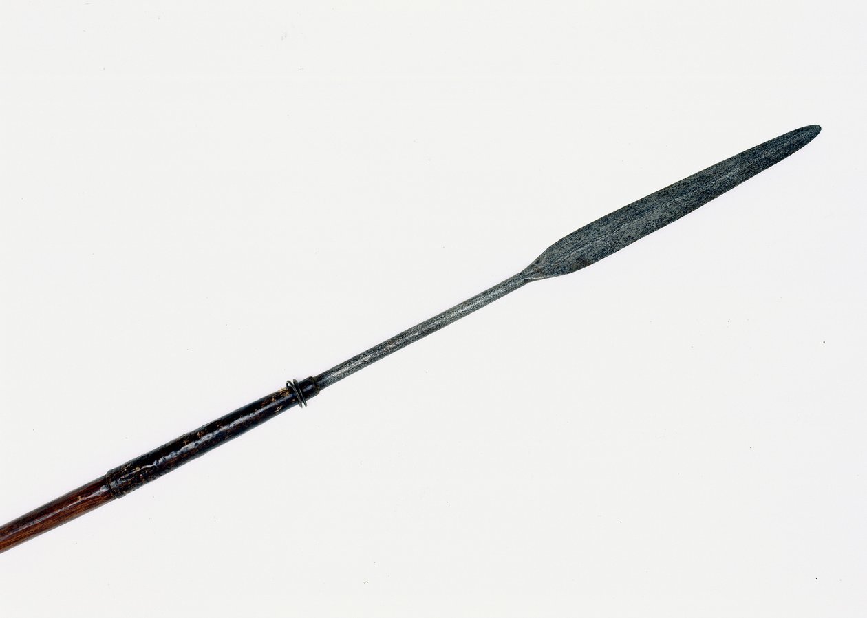 تعافى Assegai من المنطقة المجاورة لجثة الأمير الإمبراطوري بواسطة الزولو