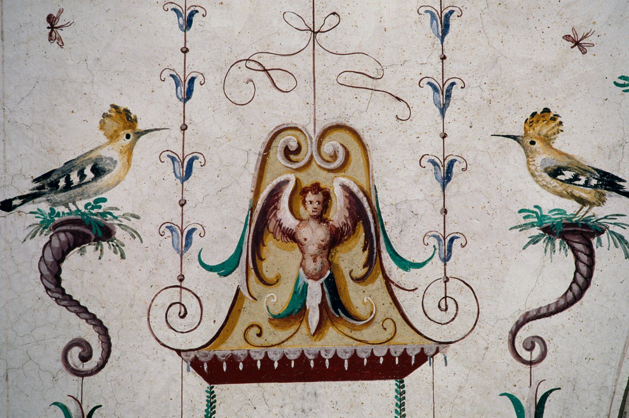 الطيور ، التفاصيل من اللوحات الجدارية في قبو Grotesque Hall (القرن السادس عشر) ، قلعة مانتا ، سالوزو ، بيدمونت ، إيطاليا بواسطة دانييل فان دن كويبورن