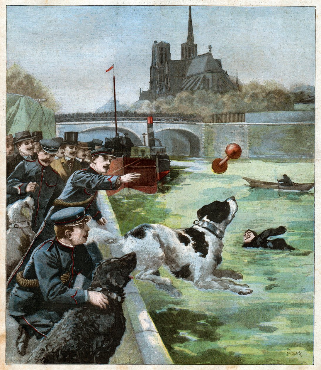 Chien sauveteur. Rescue dog. بواسطة ريتشارد (بعد) داد
