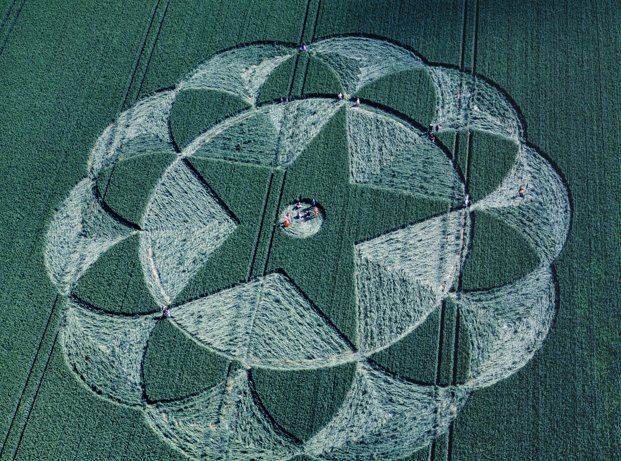 Crop circle in barley field, Avebury Trusloe, Wiltshire, 20th June 1998 (aerial photograph) بواسطة فرديناند جورج والدمولر