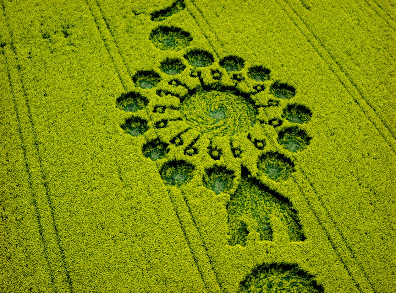 Crop circle in oilseed rape field, Milk Hill, Alton Priors, Vale of Pewsey, Wiltshire بواسطة فرديناند جورج والدمولر