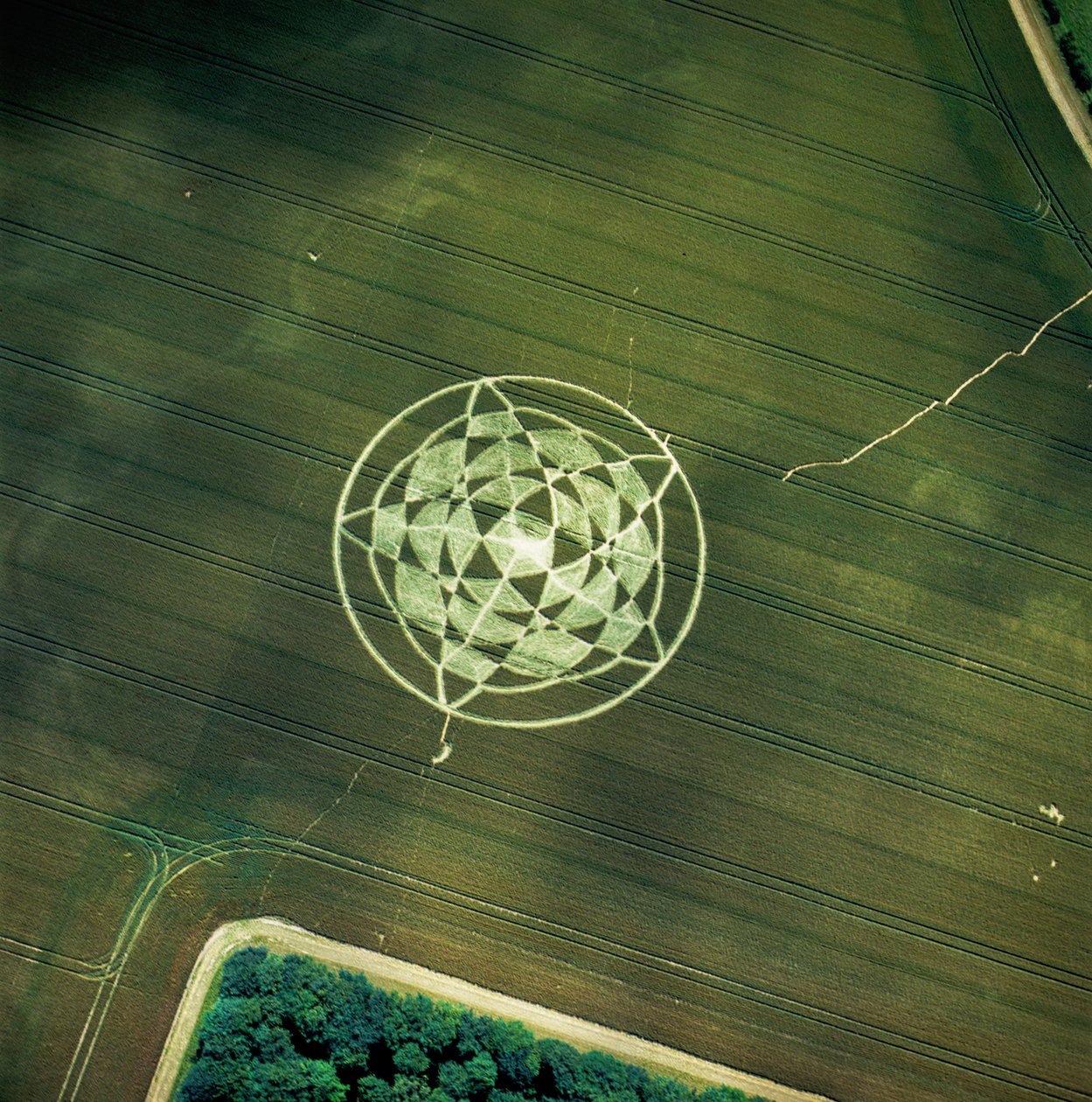 Crop circle in wheat field, Avebury Henge, Wiltshire, 22nd June 2002 (aerial photograph) بواسطة فرديناند جورج والدمولر
