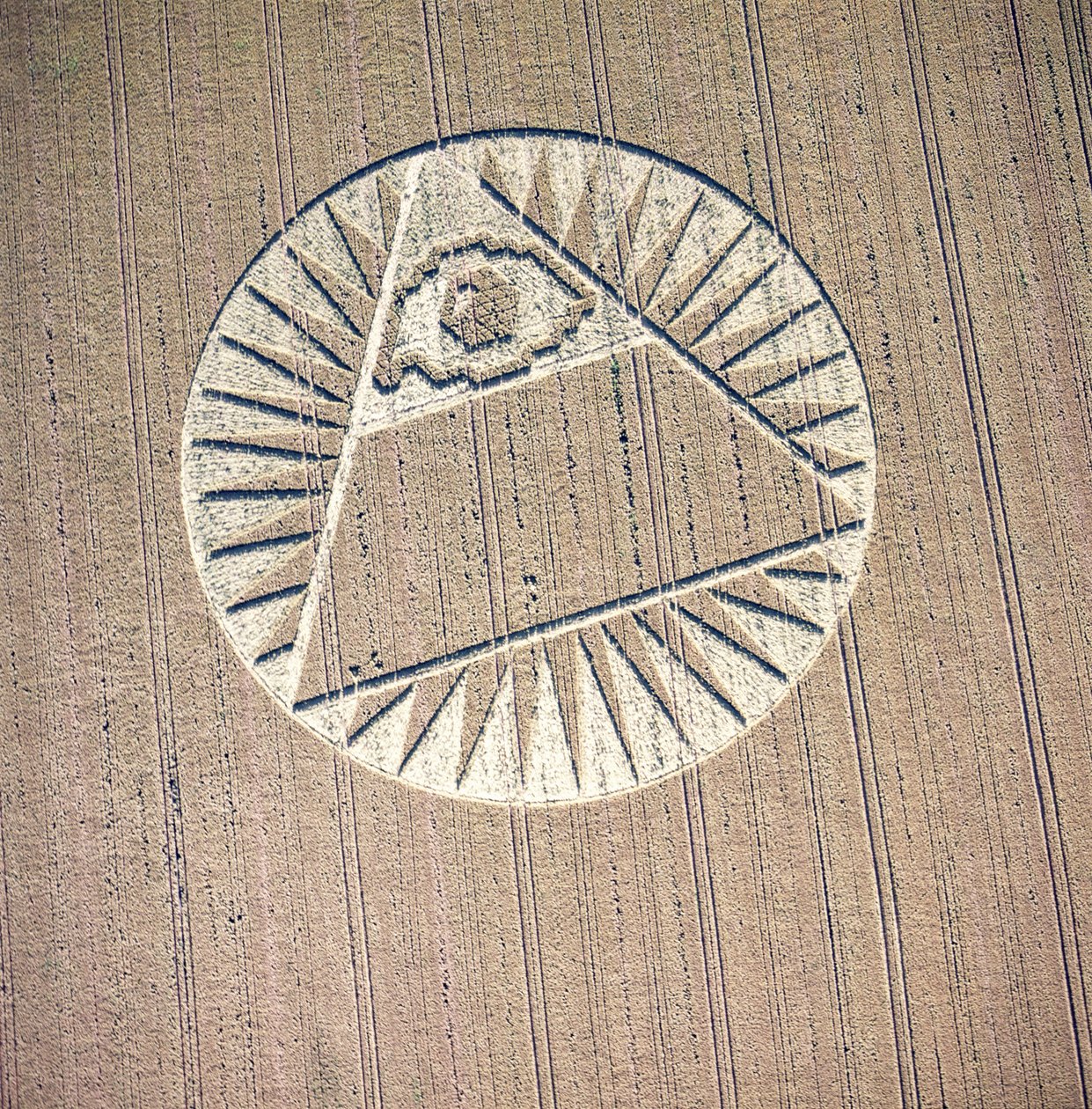 Crop circle in wheat field, Highclere, Hampshire, 21st July 2002 (aerial photograph) بواسطة فرديناند جورج والدمولر