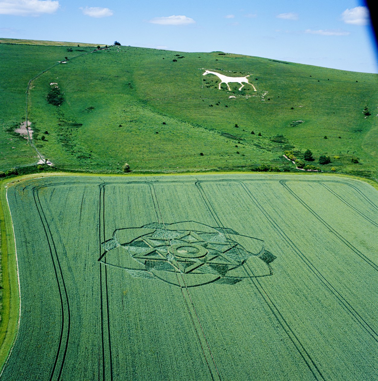 Crop circle in wheat field, Milk Hill, Alton Priors, Vale of Pewsey, Wiltshire بواسطة فرديناند جورج والدمولر
