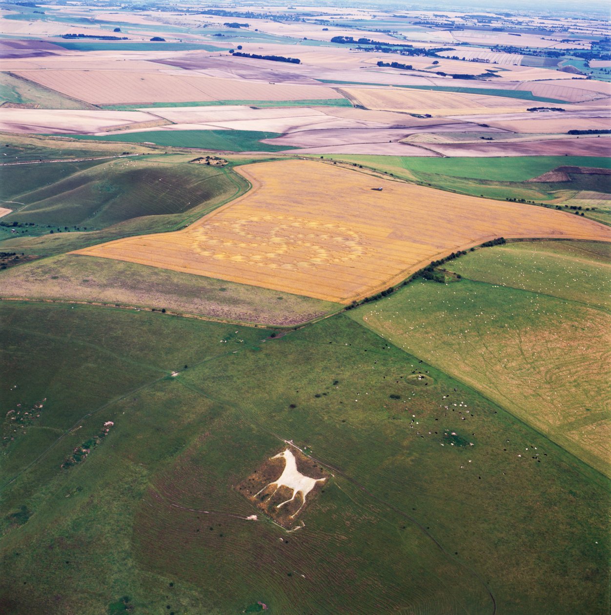 Crop circle in wheat field, Milk Hill, Alton Priors, Vale of Pewsey, Wiltshire بواسطة فرديناند جورج والدمولر