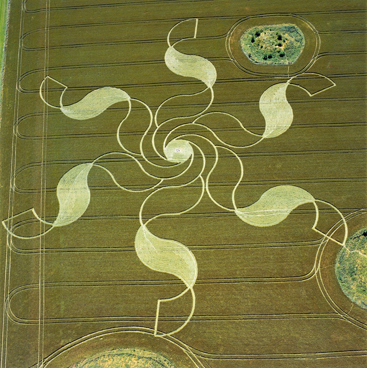 Crop circle in wheat field, Stonehenge, Wiltshire, 4th July 2002 (aerial photograph) بواسطة فرديناند جورج والدمولر