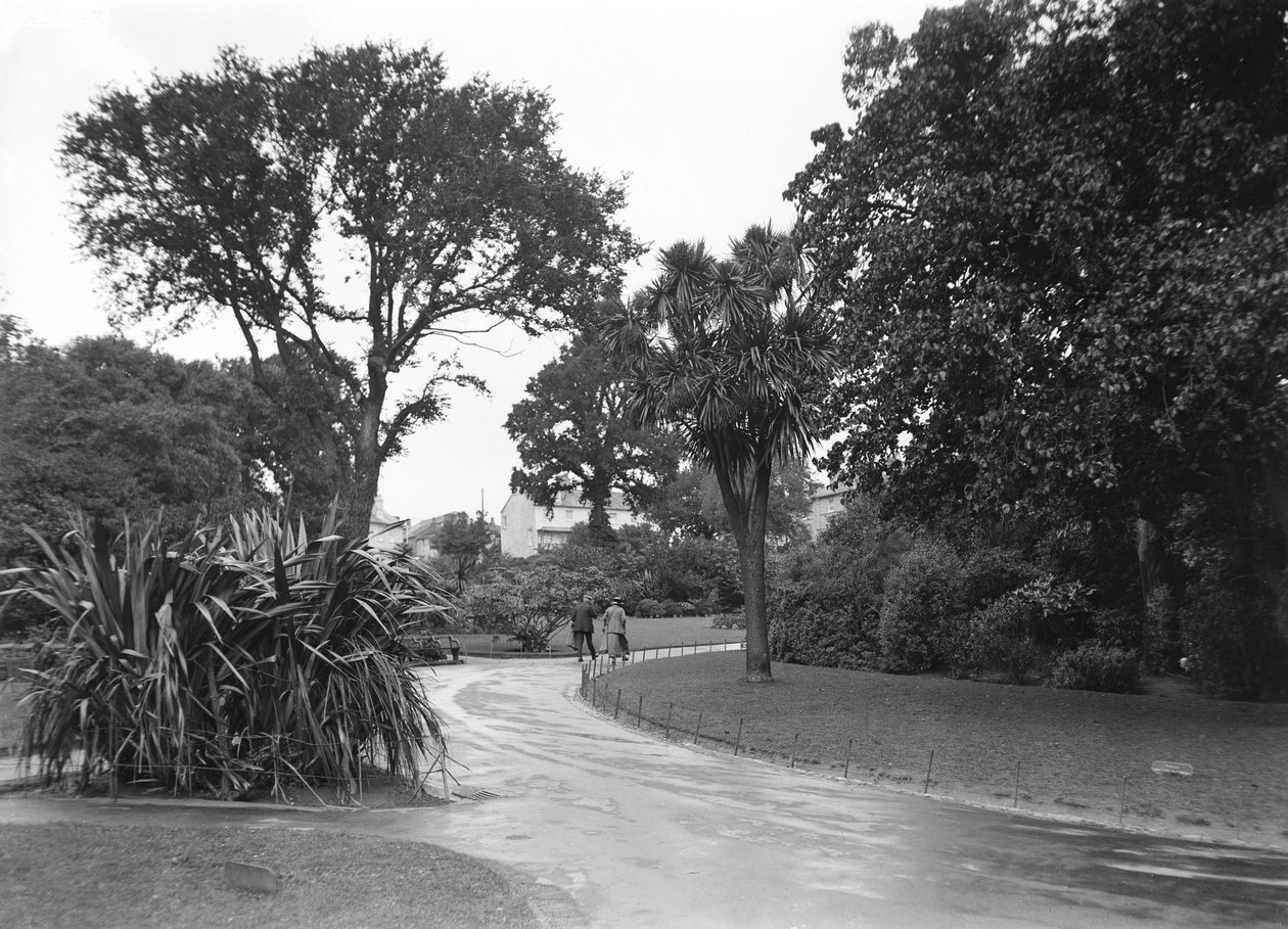 Gardens in Penzance, Cornwall بواسطة ريتشارد (بعد) داد