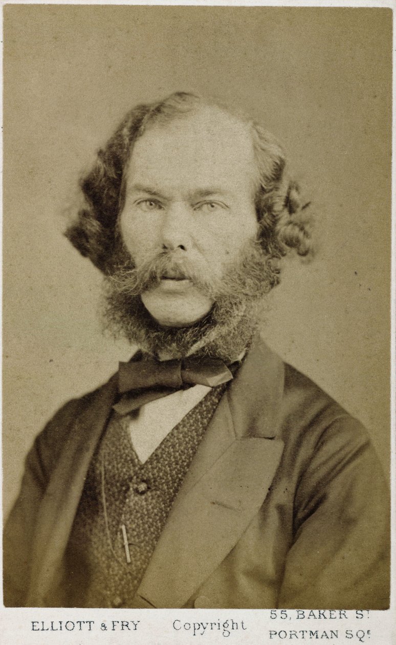George Henry Lewes, English writer and philosopher, c 1865-1878 بواسطة فرديناند جورج والدمولر