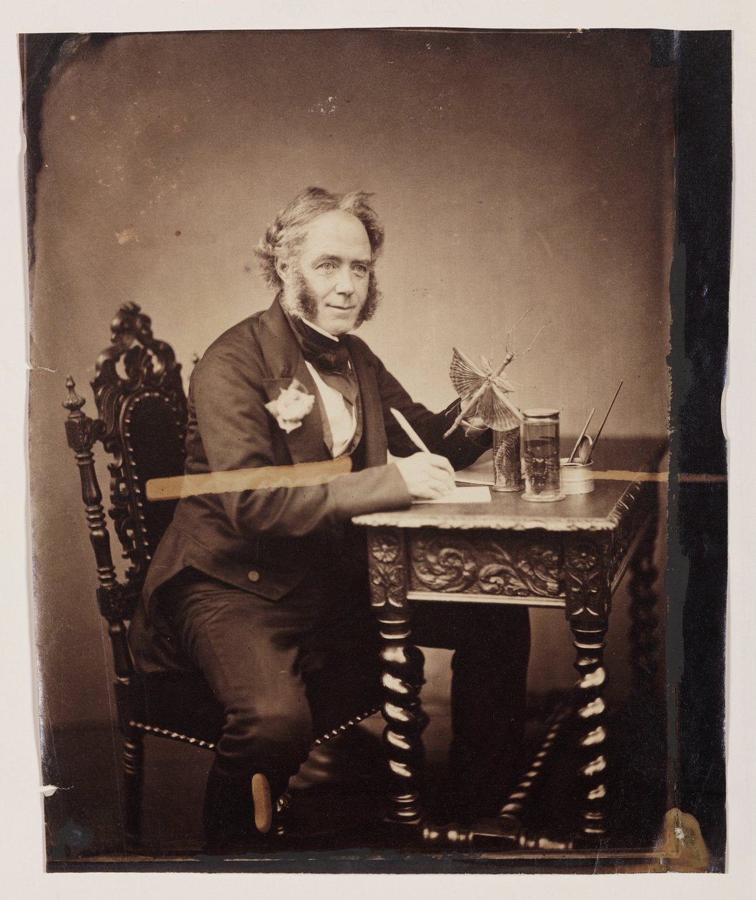 John Obadiah Westwood, English entomologist and paleographer, c 1850 بواسطة فرديناند جورج والدمولر