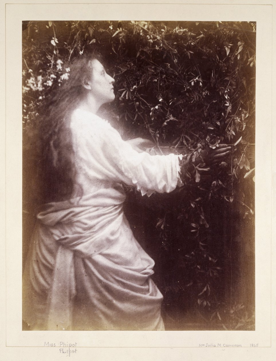Mary Hillier, c 1865 بواسطة ريتشارد (بعد) داد