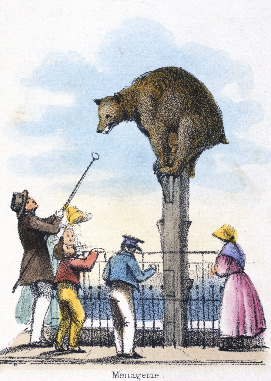 Menagerie