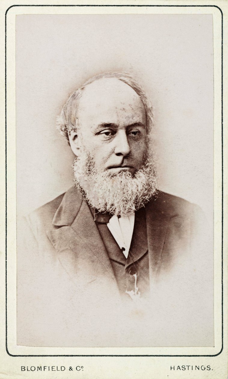 Mr Hackett, secretary of the General Steam Navigation Company بواسطة فريدريك (المرتبط ب) بارنارد
