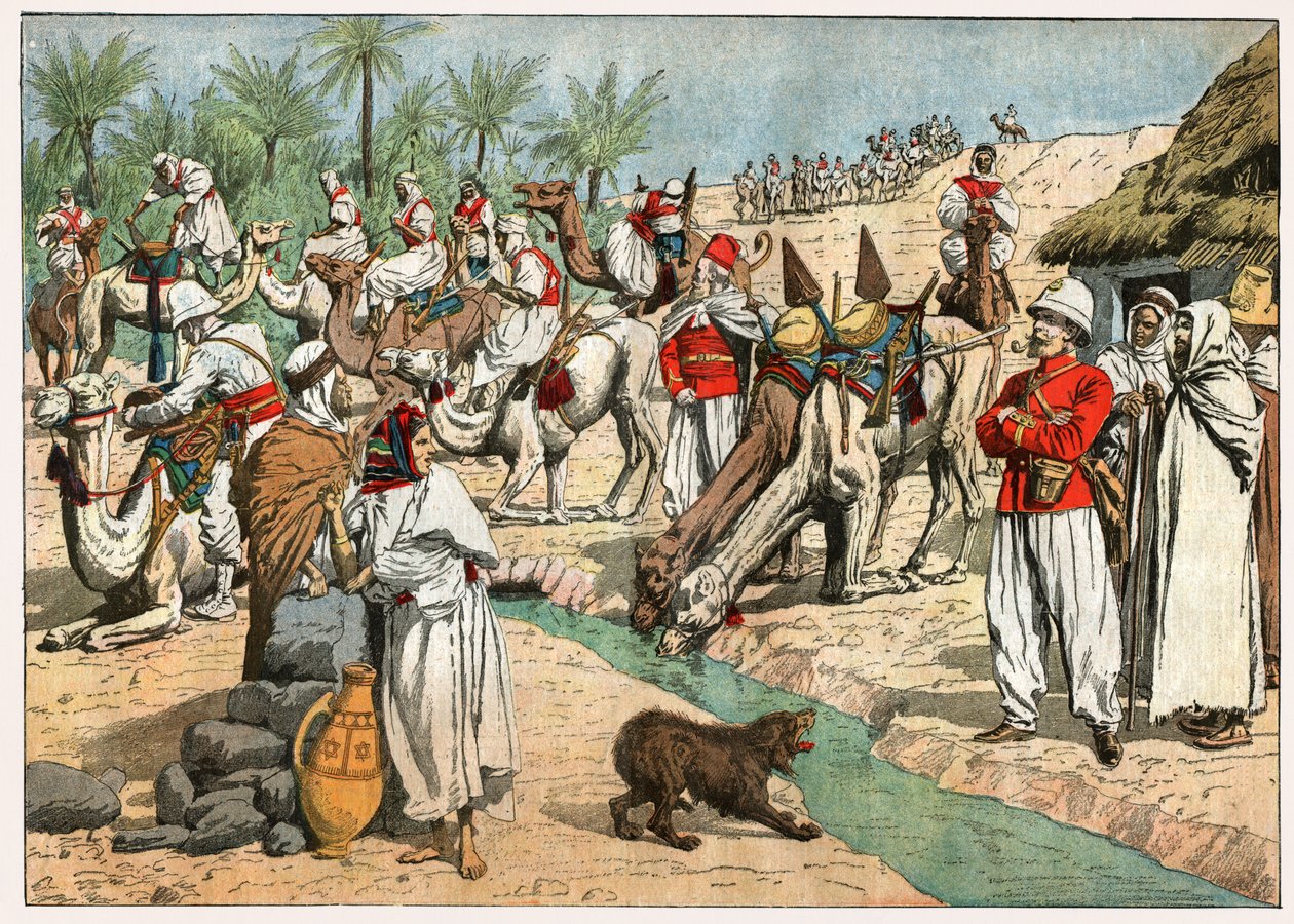 واحة في الصحراء الكبرى بواسطة . .