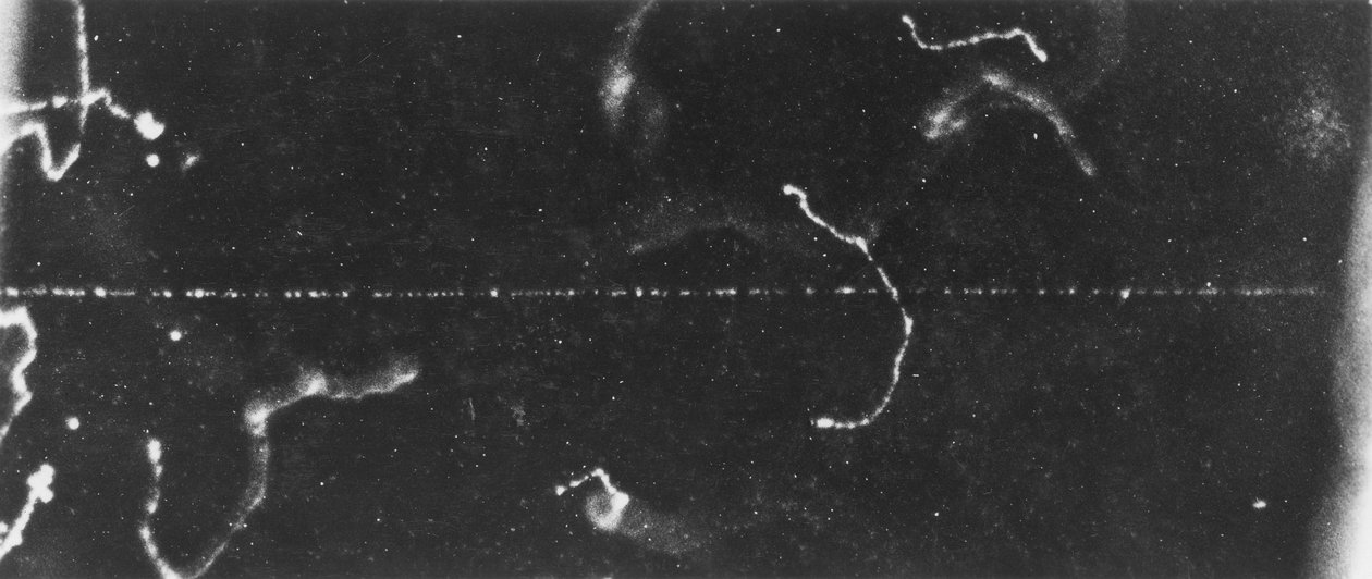 Particle Imaging, Cloud Chamber The track of a fast beta-ray, early 20th century بواسطة فرديناند جورج والدمولر