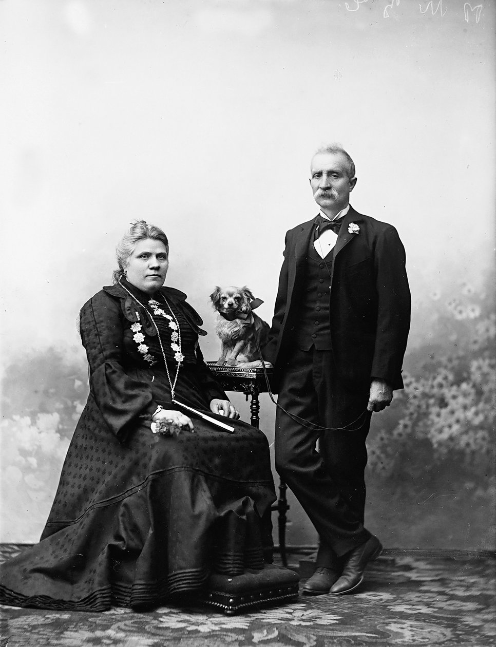 Portrait of Mr and Mrs Guerrini بواسطة المدرسة الكندية