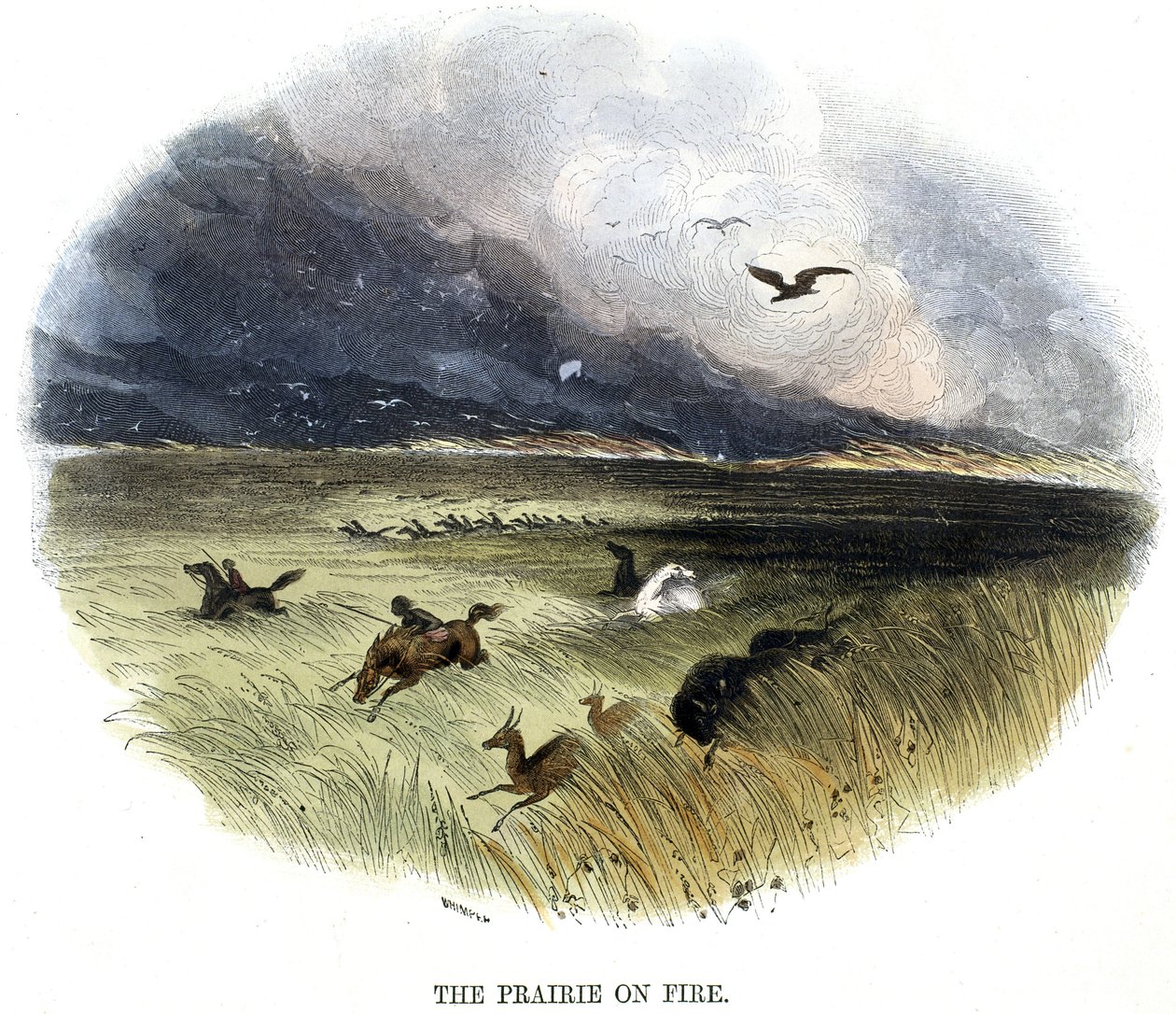 Prairie on Fire