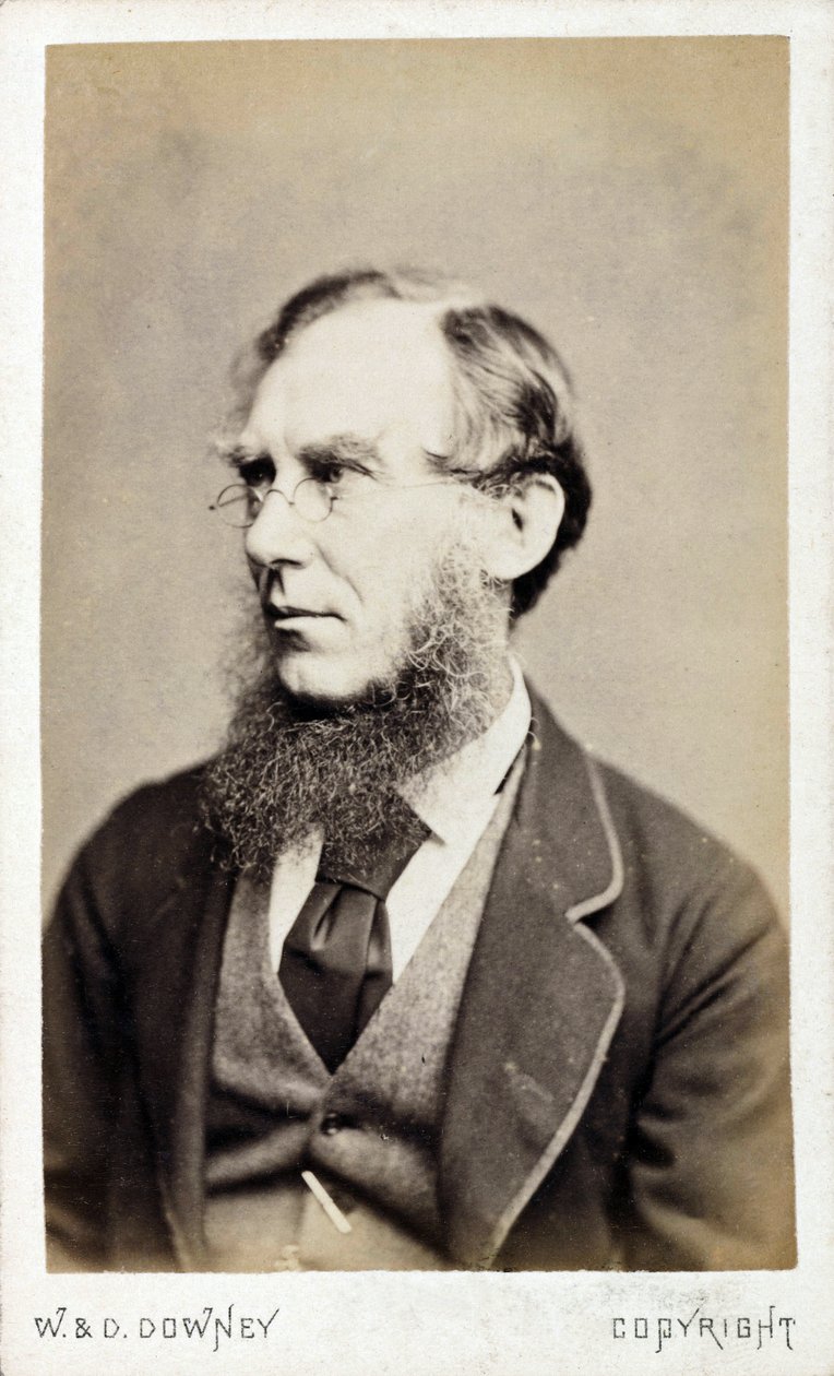 Sir Joseph Dalton Hooker, British botanist, late 19th century بواسطة فرديناند جورج والدمولر