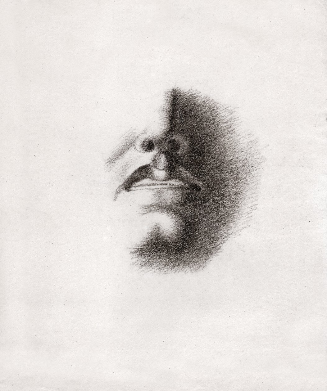 دراسة لوجه الرجل: الفم والأنف. حوالي عام 1830 (رسم) بواسطة . .