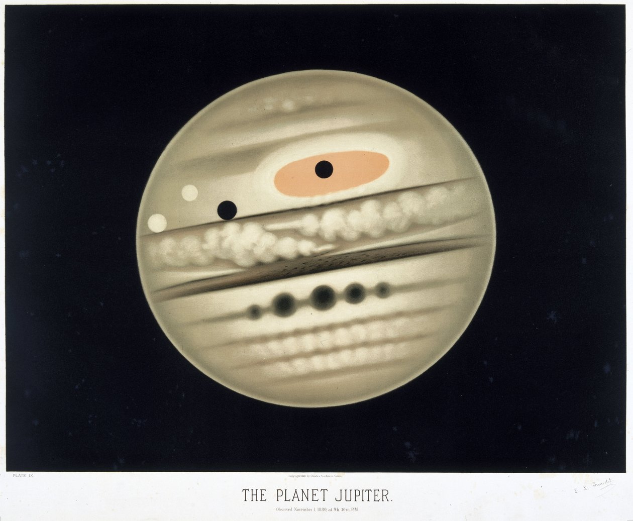 The planet Jupiter بواسطة فريدريك (المرتبط ب) بارنارد
