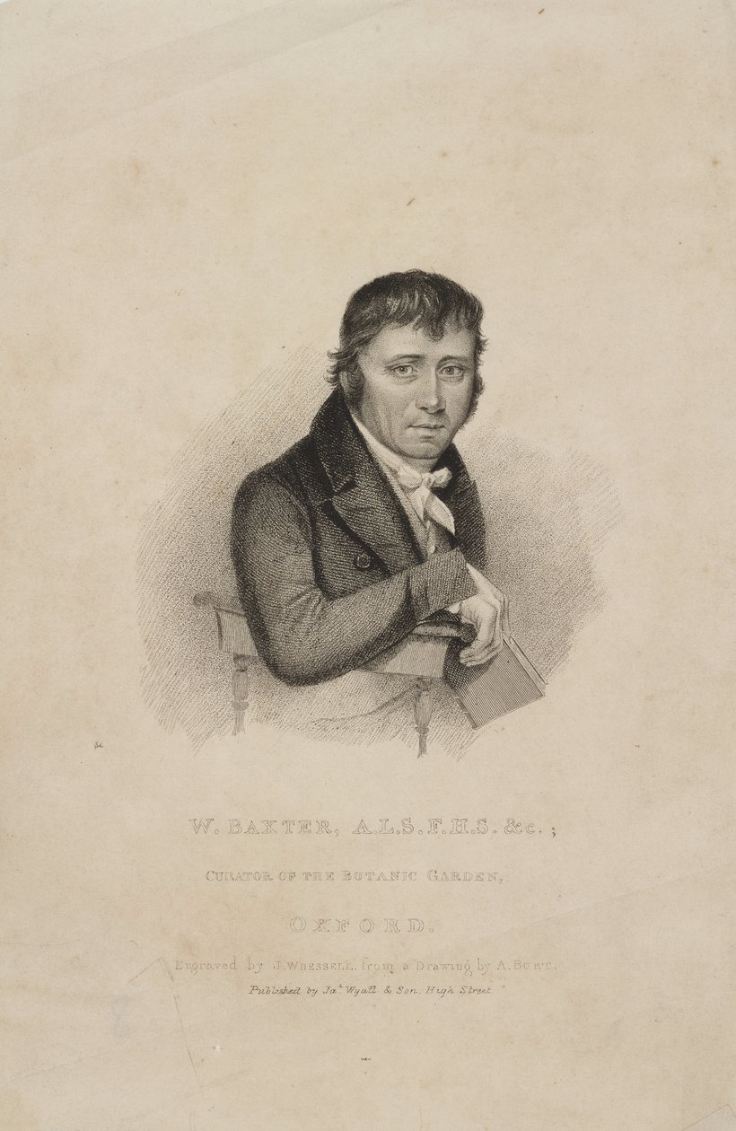 William Baxter, ALS FHS, British botanist, c 1820s بواسطة فريدريك (المرتبط ب) بارنارد