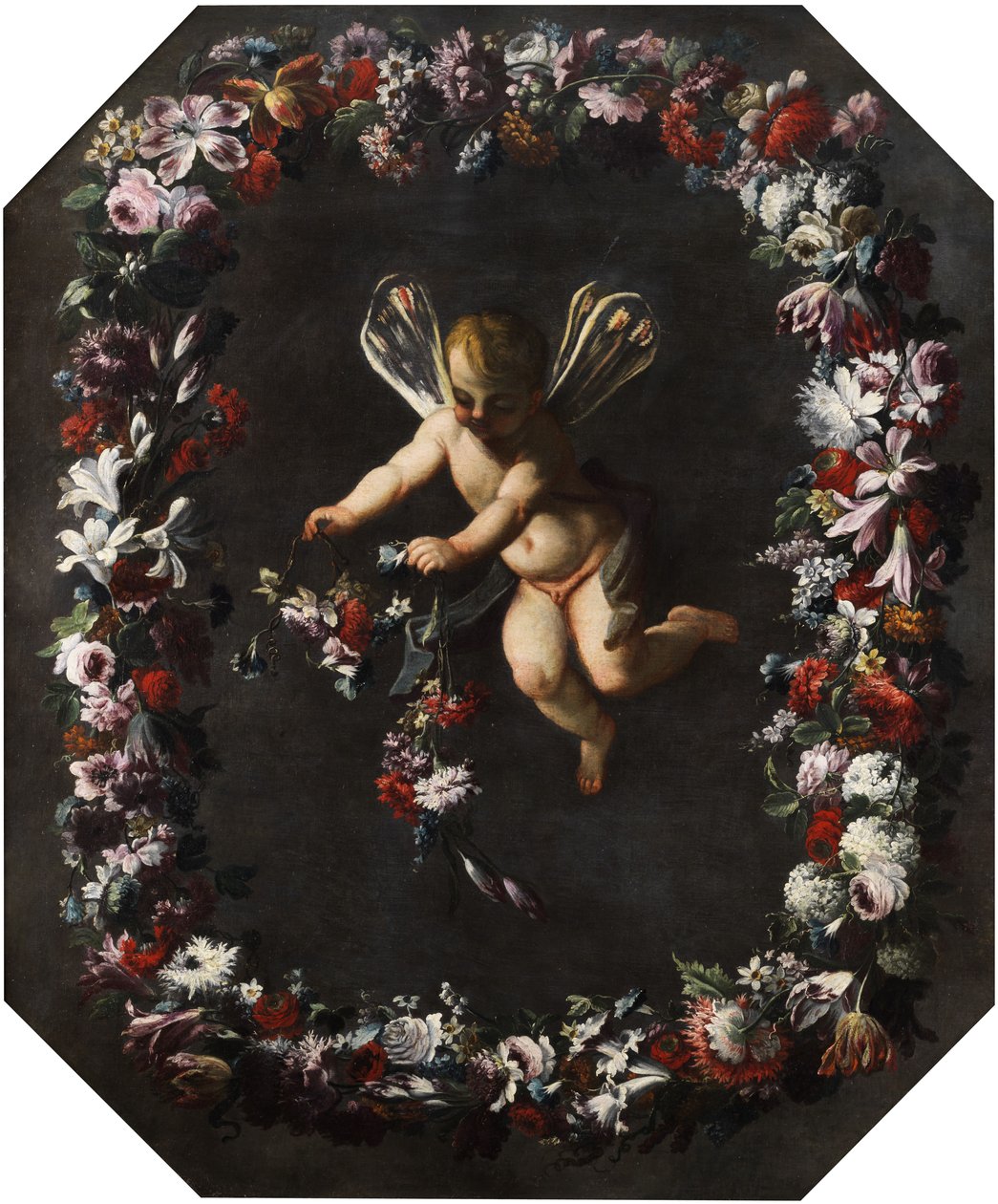 Putto مع أجنحة اليعسوب في إكليل الزهور. زيت على قماش. 191 × 161 سم بواسطة يعزى إلى جيوفاني ستانشي دي فيوري