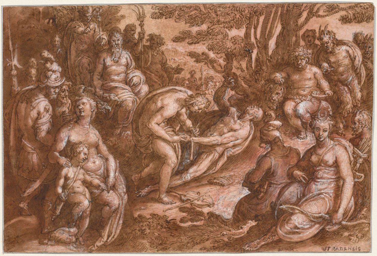 سلخ مارسياس ، ج. 1570-1605. بواسطة دعا يوهانس سترادانوس جان فان دير ستريت