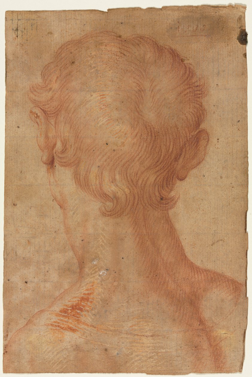 رأس الرجل من الخلف بواسطة نسخ بعد Agnolo Bronzino