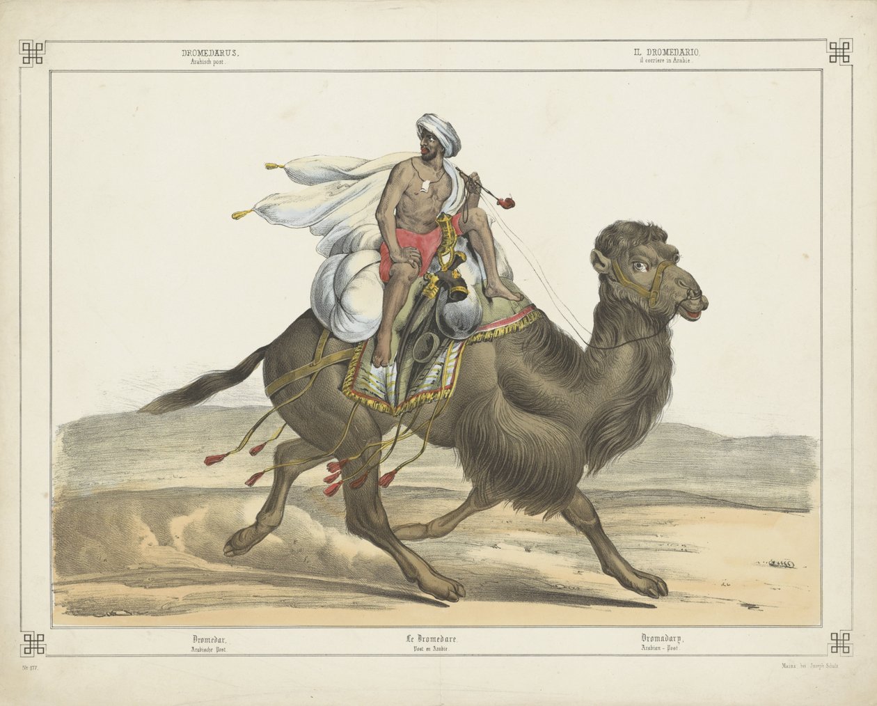Dromedarus، / Arabisch post (العنوان على الكائن) بواسطة شركة جوزيف شولز