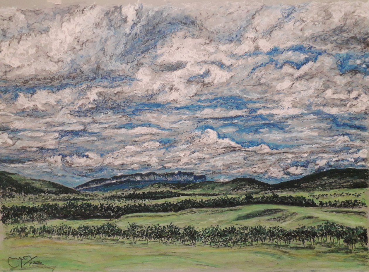 LA GRAN SABANA VENEZUELA بواسطة miguelmendez_art.ve