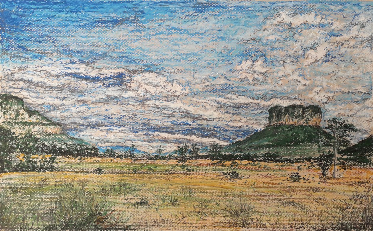 فندق غران سابانا فينيزيلا بواسطة miguelmendez_art.ve