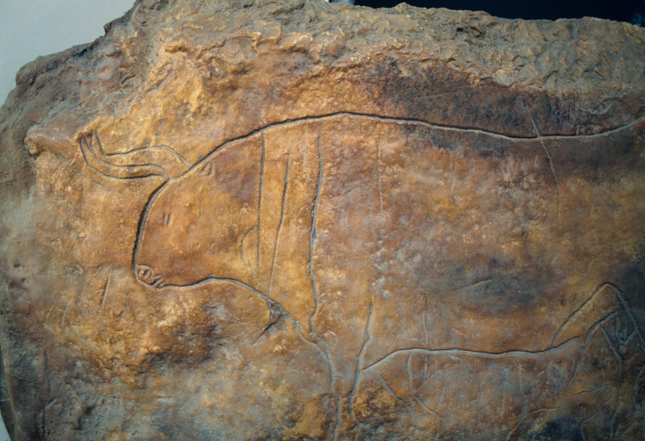Graffito depicting bull. Ancient Greek civilization, Magna Graecia بواسطة أو Magno Cesare Magni