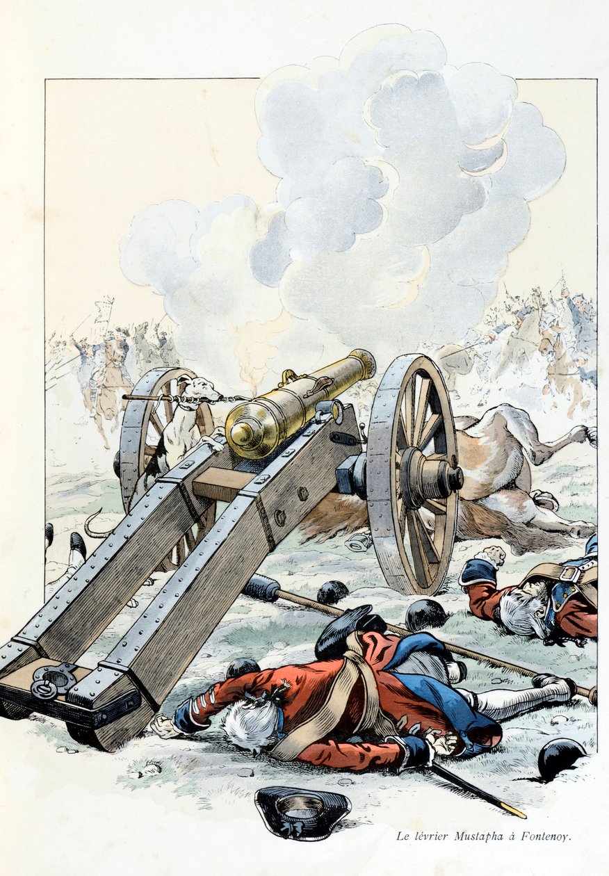 Illustration from the book “A la gloire des betes”” text by A Fabre, drawings by Jacques Marie Gaston Onfray de Breville dit JOB (1858-1931), publisher Maison Alfred Mame et fils: War of the Austrian Succession: the yeast Mustapha in Fontenoy بواسطة اسم مستعار لـ Onfray de Breville Jacques Job