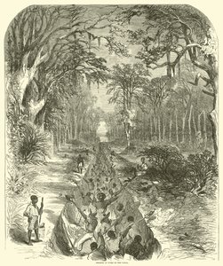الزنوج أثناء العمل في القناة ، مارس 1863 (نقش) بواسطة (بعد) المدرسة الأمريكية