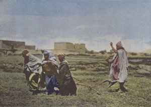 الحرث في منطقة القبائل (صورة ملونة) بواسطة (بعد) مصور فرنسي