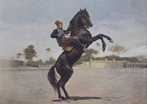 نوس كافالييرز (صورة ملونة) بواسطة (بعد) مصور فرنسي