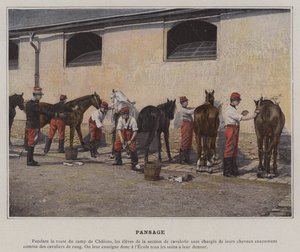 الاستمالة (صورة ملونة) بواسطة (بعد) مصور فرنسي