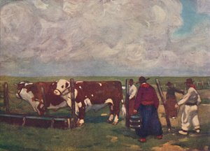 نسب الثيران في aa Lemco Estancia ، 1916
