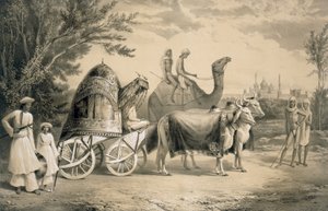 حريم نقل ملك دلهي ، من "رحلات في الهند" ، حانة. بواسطة سميث ، Elder und Co. ، 1858