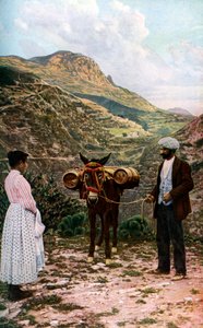 بغل مع براميل مائية ، صقلية ، إيطاليا ، c1923