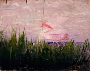 Roseate Spoonbill ، دراسة لكتاب إخفاء التلوين في مملكة الحيوان ، كاليفورنيا. 1905-1909. بواسطة أبوت هاندرسون ثاير