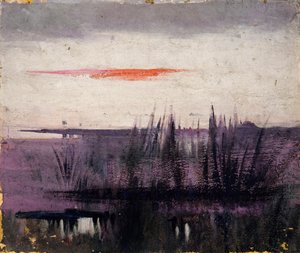 The Sky Simulated by White Flamingoes دراسة للكتاب ... ، في مملكة الحيوان ، كاليفورنيا. 1905-1909. بواسطة أبوت هاندرسون ثاير