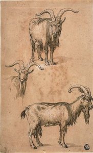 ثلاث رسومات تخطيطية لماعز (وجه) ستائر شخصية أنثى واقفة (ظهر)