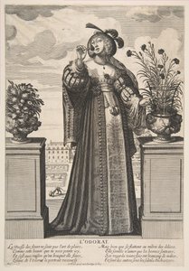 رائحة ، 1635-38. بواسطة إبراهيم بوس