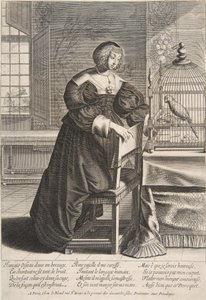 الببغاء ، 1620-76. بواسطة إبراهيم بوس