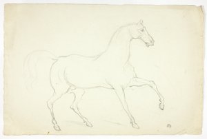فحل الخيل بواسطة ابراهام كوبر